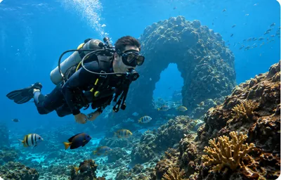 A scuba diver over a reef arch with tropical fish near Puerto Vallarta