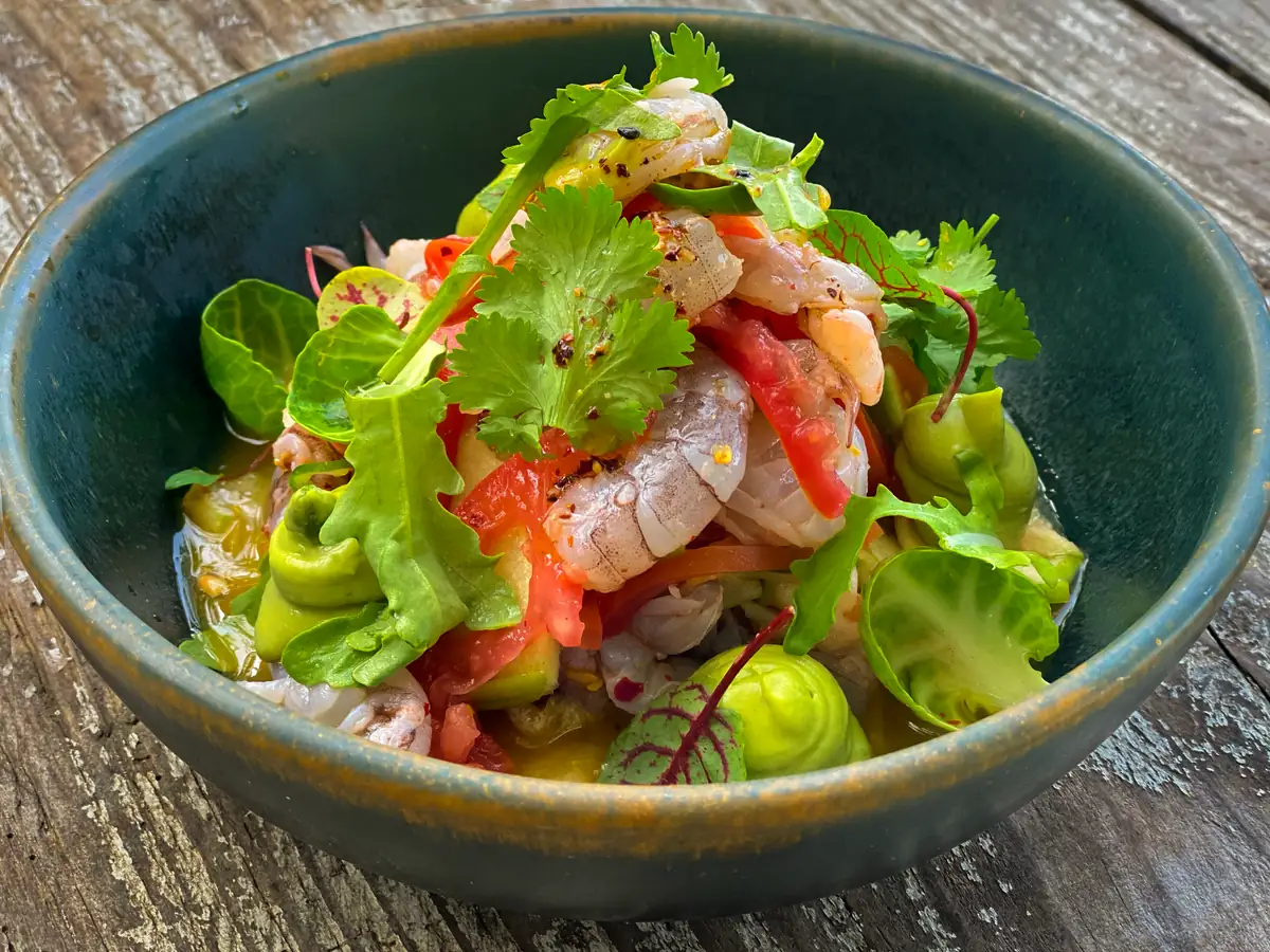 A plated ceviche with herbs and citrus served at Majahuitas beach club